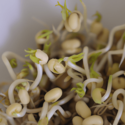 Chlorine and Soybean Germination