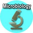 Microbiology Science Fair Projects