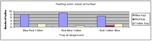 Diamondback terrapin turtle science project