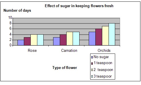 flowers science fair project