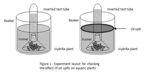 aquatic photosynthesis science fair project