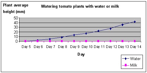 Does a plant grow bigger if watered with milk or water?