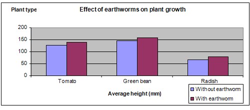 Earth Worms Science Fair Project