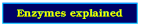 enzymes explained