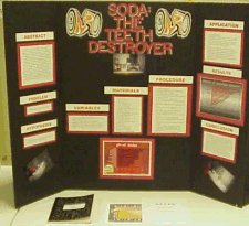 Photograph of Elizabeth's Science Project