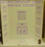 Photograph of Emily's Science Project