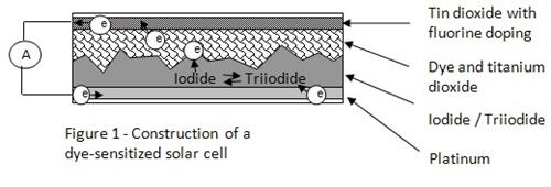 dye-sensitized solar cells science project