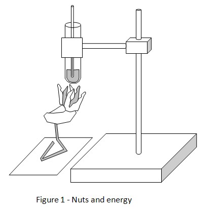 Nuts and energy science project