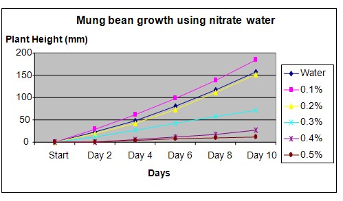 mung beans science project