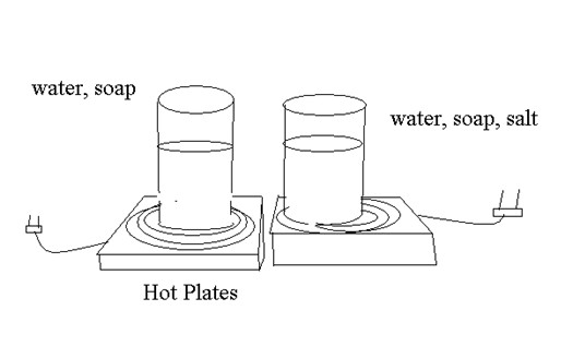 convection and salinity science fair project