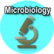 Microbiology Science Fair Projects