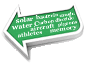 Search for science fair projects