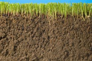 Soil Fertility and Conductivity