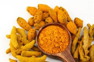 Turmeric Antioxidant Experiment