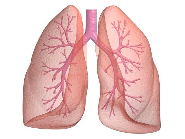 Gender Differences in Lung Capacity | Science Fair Projects | STEM Projects