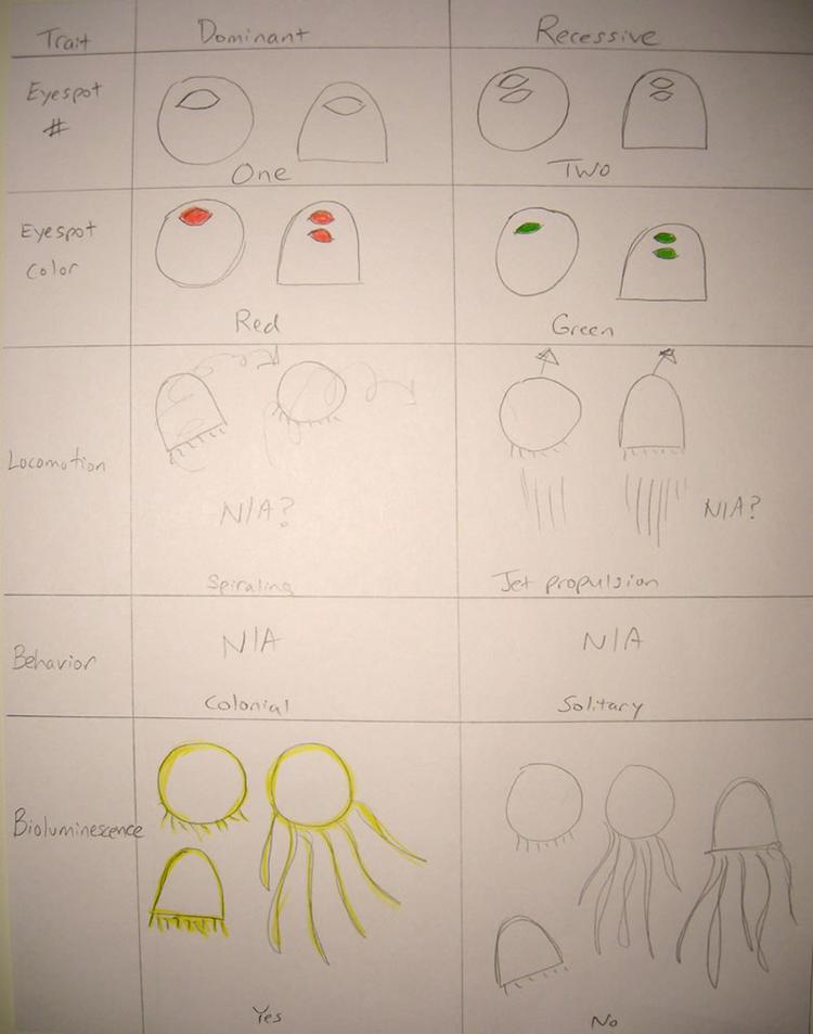 b3.jpg