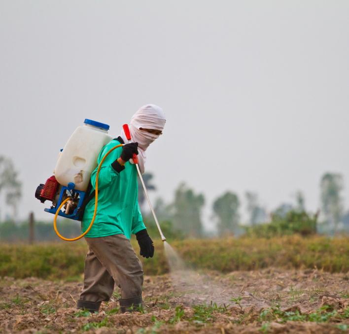 Comparing Natural and Chemical Pesticides