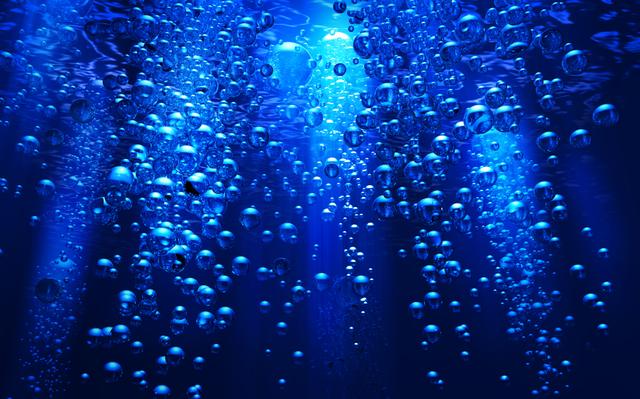 Investigating Dissolved Oxygen | Science Fair Projects | STEM Projects