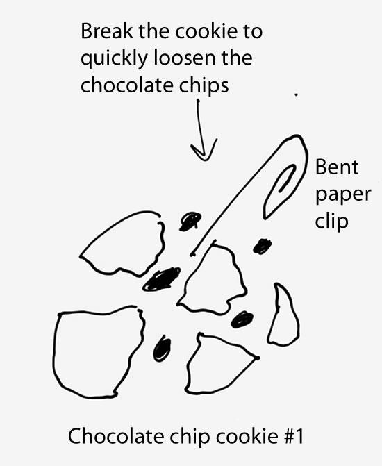 b1.jpg