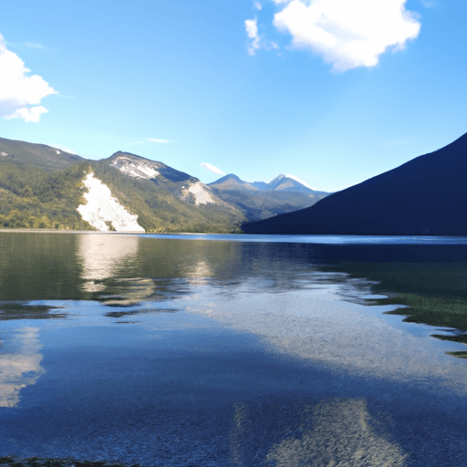 Exploring Life in Water