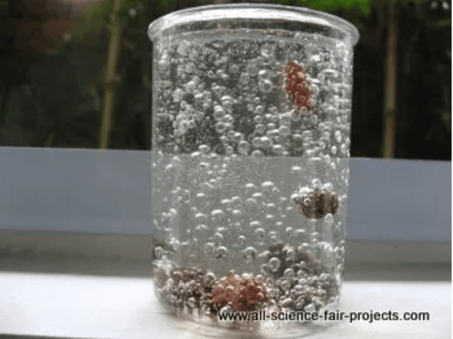 Swimming Raisins | Science Fair Projects | STEM Projects