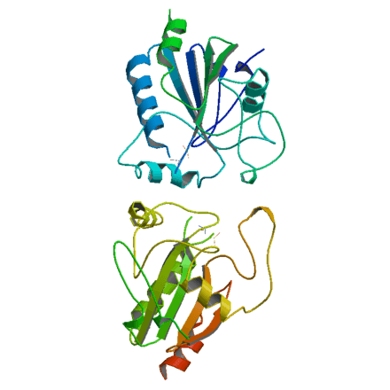 Temperature and Peroxidase Enzyme | Science Fair Projects | STEM Projects