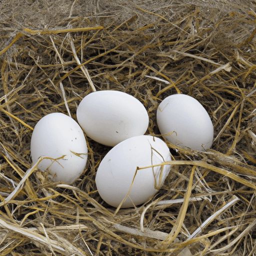 Egg with Vinegar