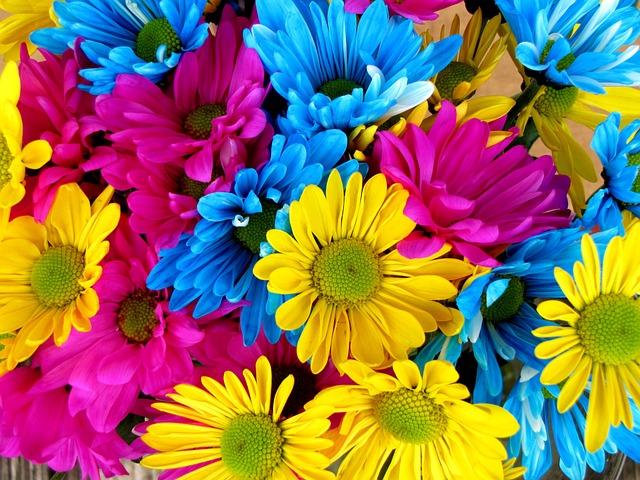 Changing the Color of Flowers