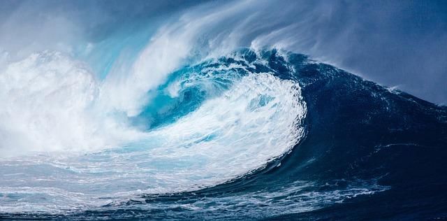 Temperature and Water Movement | Science Fair Projects | STEM Projects