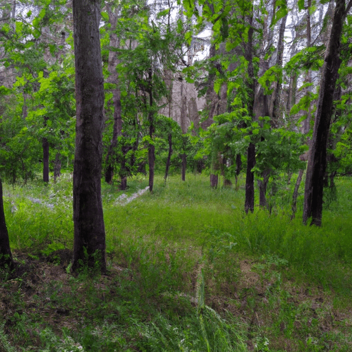 What Do Students Know About Deforestation?