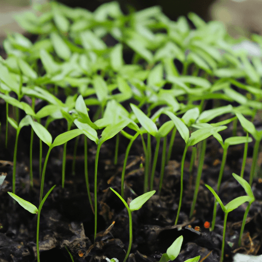 Crowding in an Ecosystem