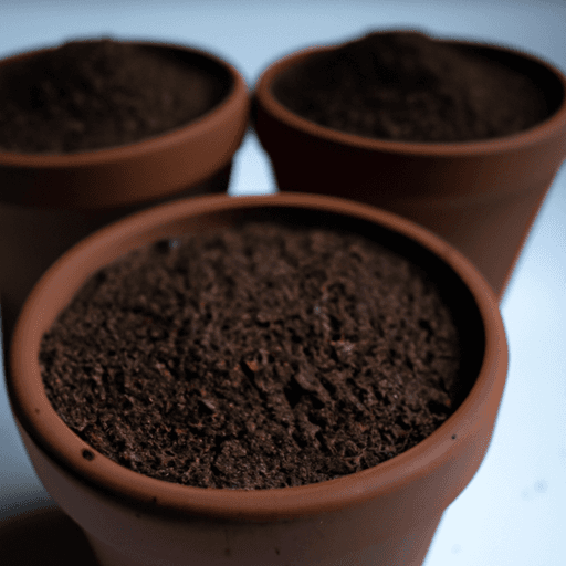 Botany Science Fair Projects