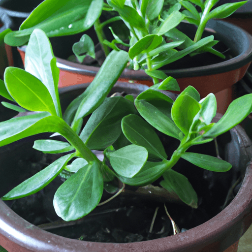 Botany Science Fair Projects