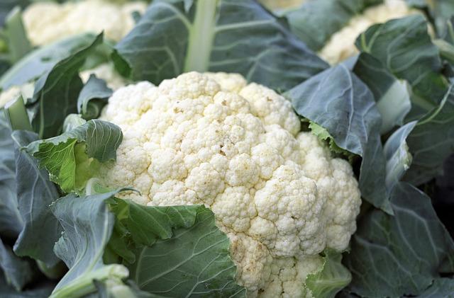 Cauliflower Plant Growth