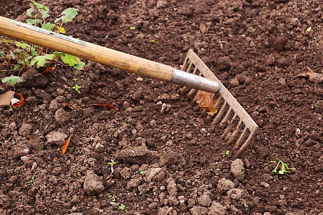 Digging for Soil Secrets