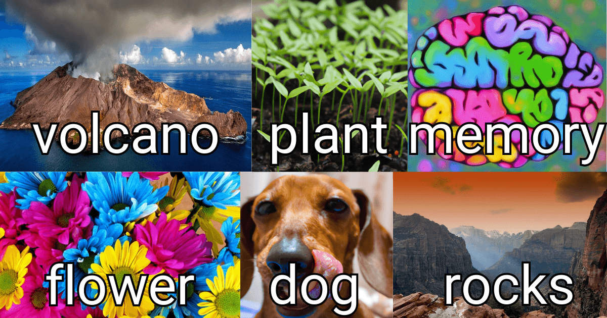 Search for science fair project by keyword: volcano, plant growth, memory, flowers, dog, rocks.