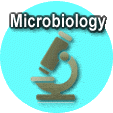Microbiology science fair projects