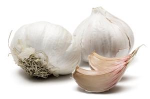 Garlic vs. Bacteria