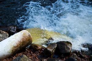 Investigating River Pollution