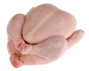 Bacteria in Poultry Meat