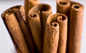 Investigating Cinnamon Oil as an Insect Repellent