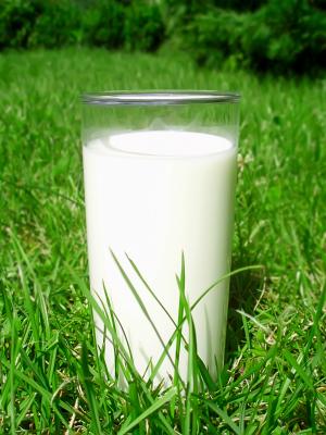 Does Milk Help Plants Grow?