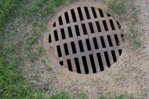 Clogged Drains: Flat vs. Dome