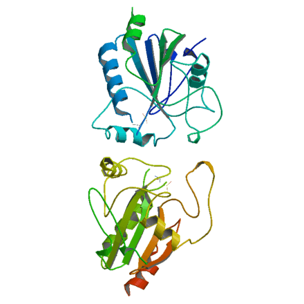 Temperature and Peroxidase Enzyme