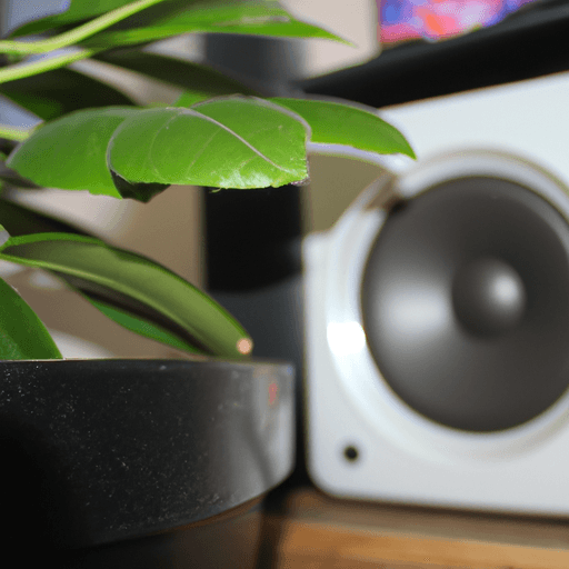 Does Music Help Plants Grow?