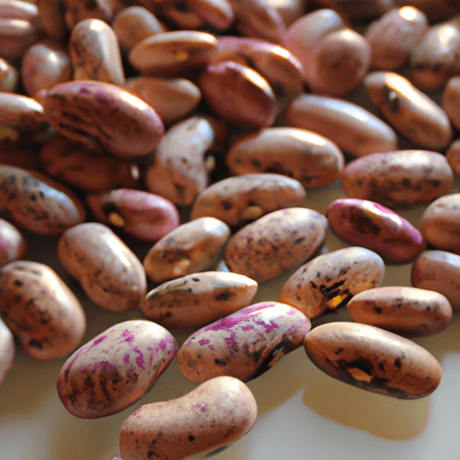How Soil Affects Pinto Bean Growth