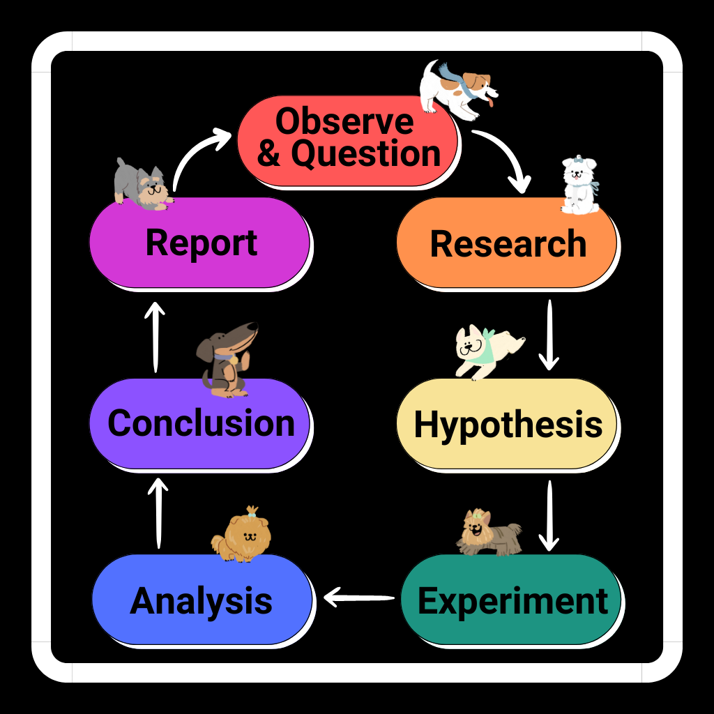 research type project for science fair for high school