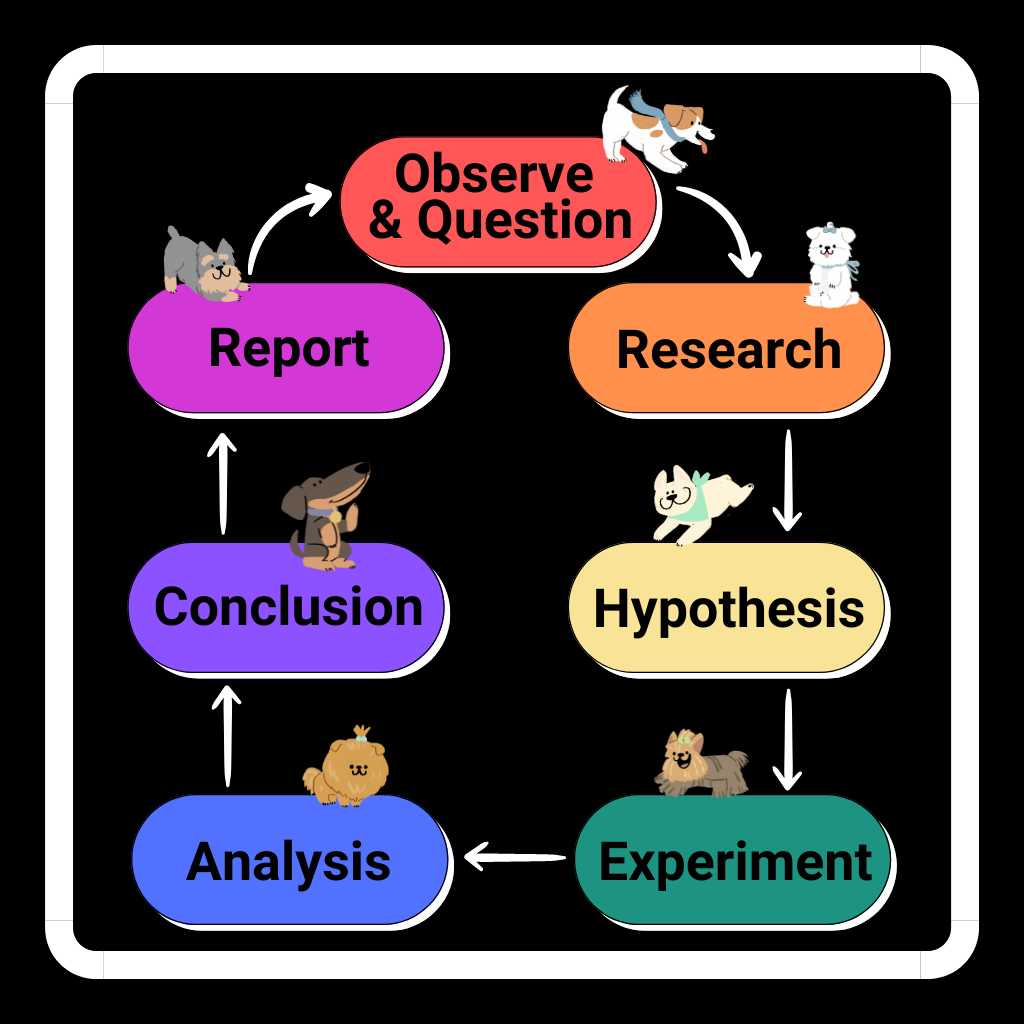 Science Fair Project Coach
