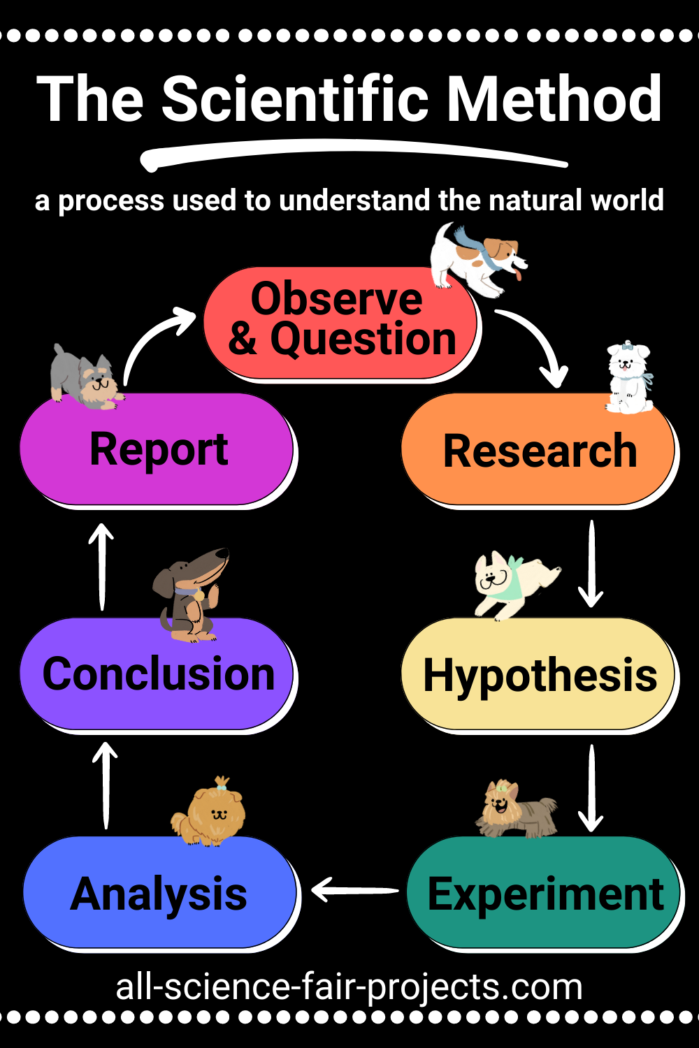 The Scientific Method Guide 7 Steps Of The Scientific Method An 