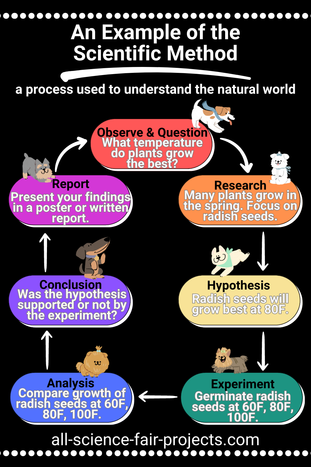 The Scientific Method Guide 7 Steps Of The Scientific Method An 